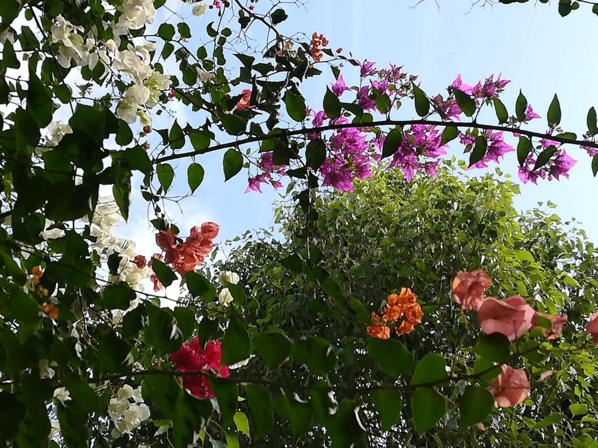 Riad Asmaa Agadir Azrarag Esterno foto